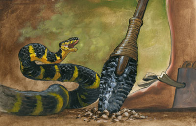 Death of the Serpents by James Fullmer