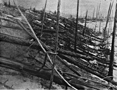 Trees felled by the Tunguska explosion. Photograph taken by the Leonid Kulik Expedition. Image from nasa.gov